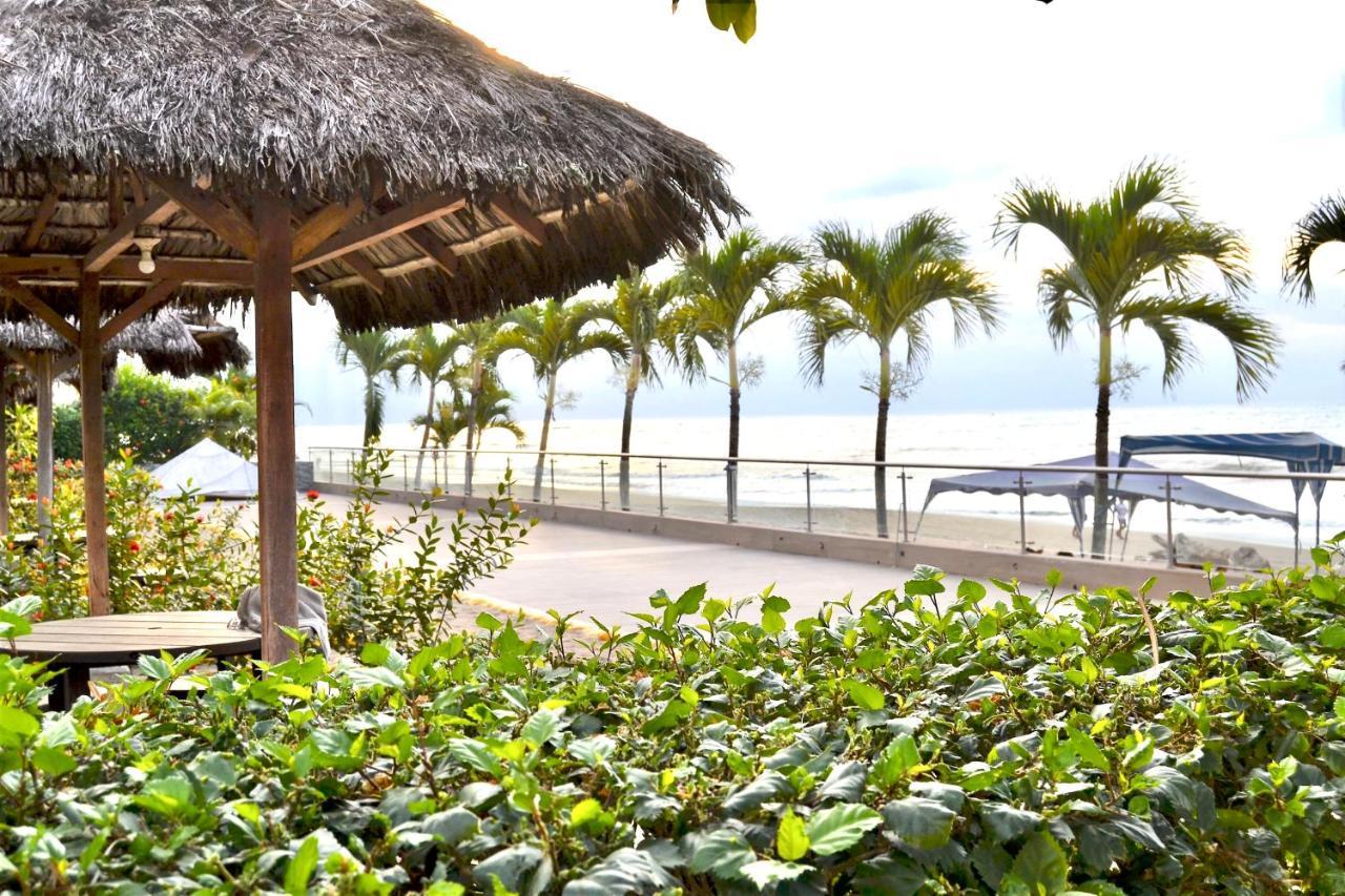 Encantador Departamento Frente Al Mar Con Wifi Apartment *